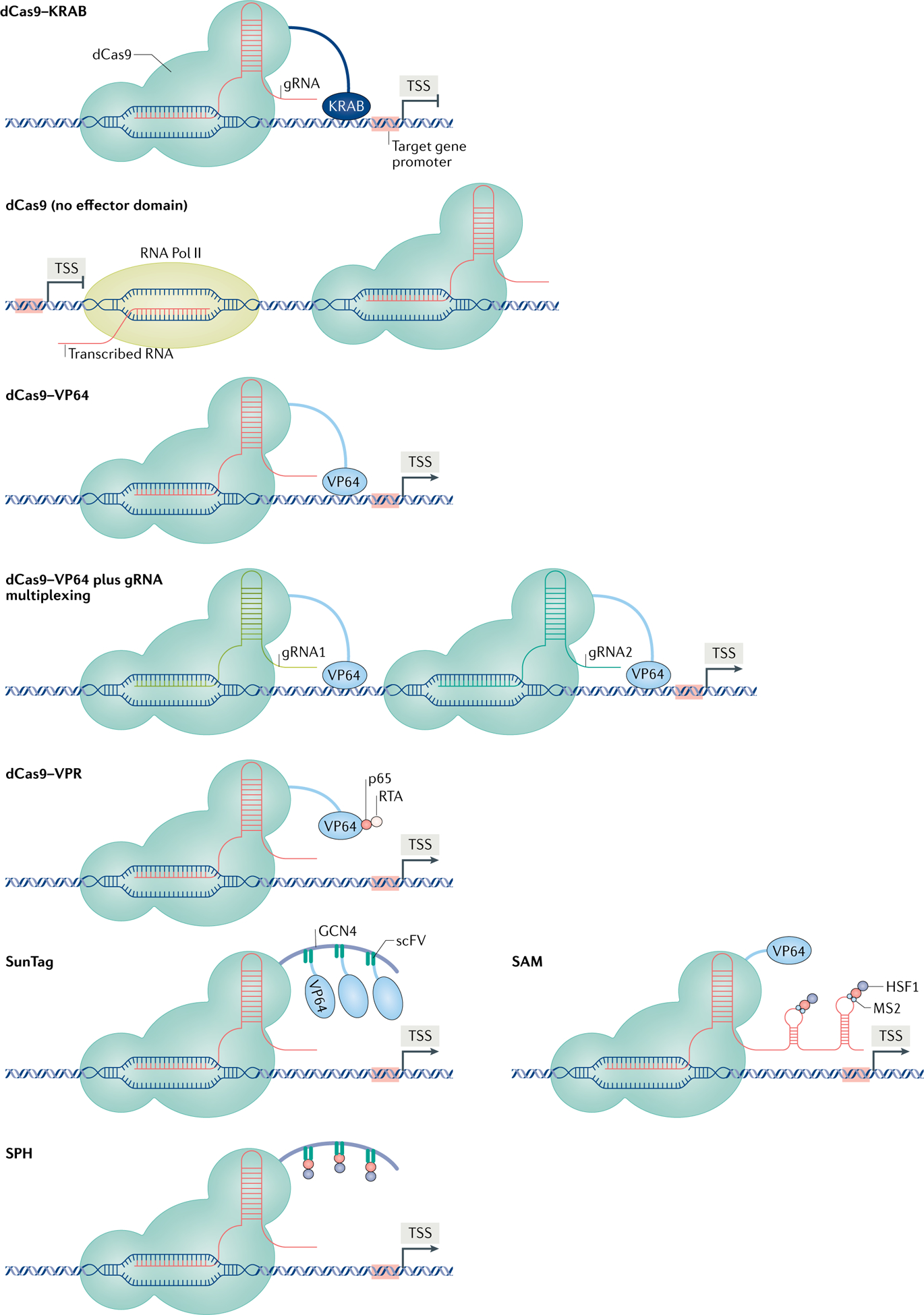 Fig. 2 |