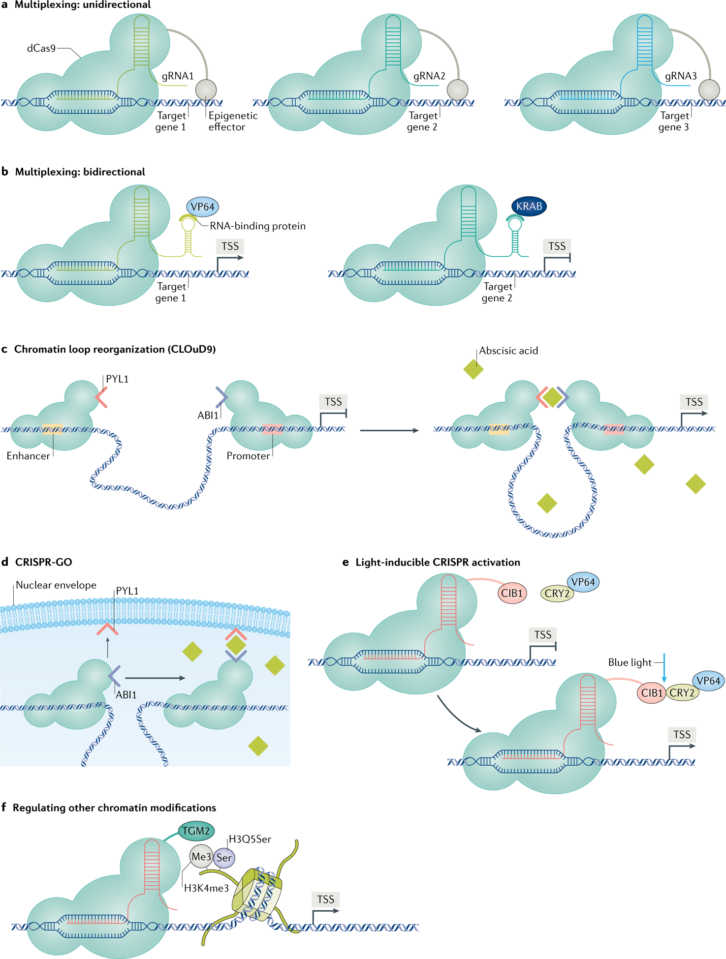 Fig. 4 |