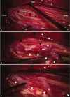 Figure 3: