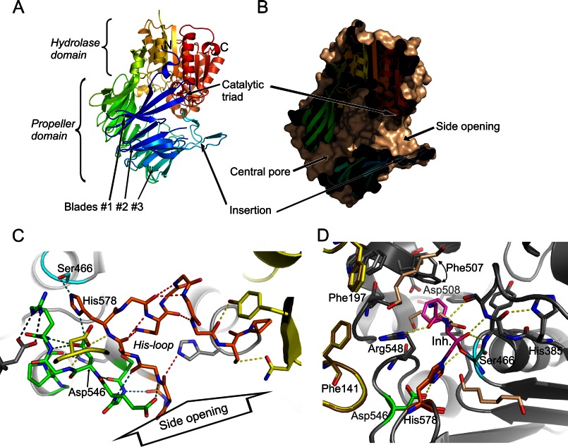 FIGURE 1.