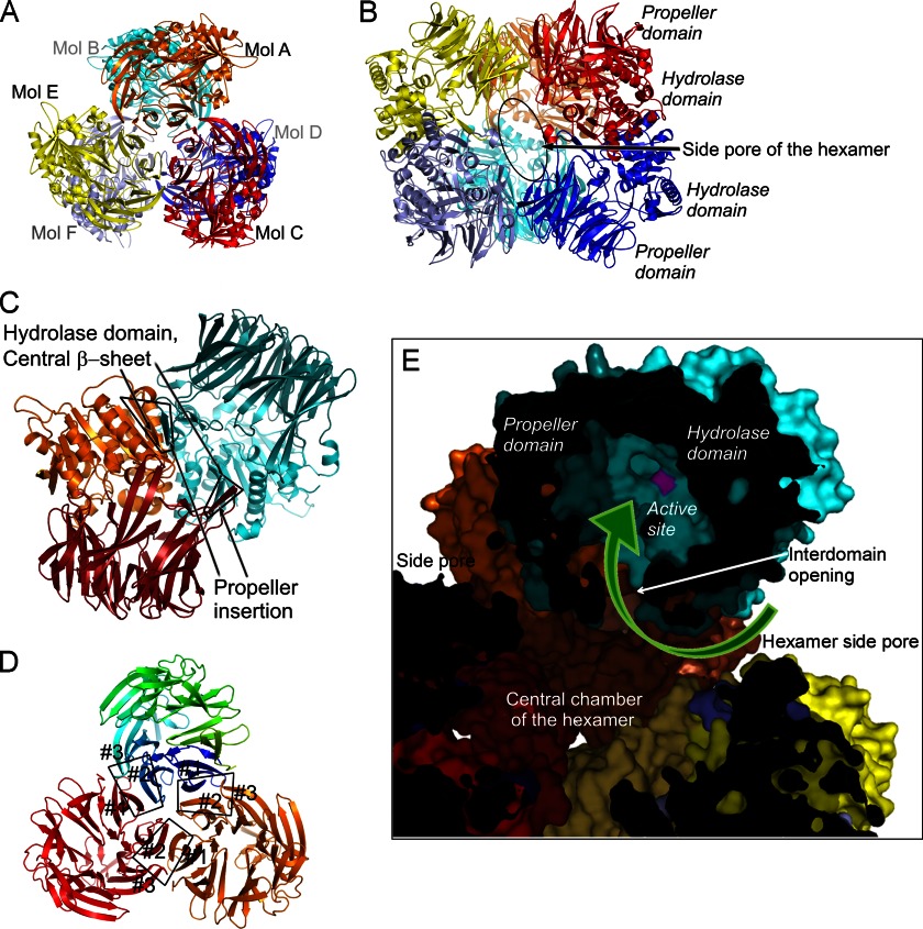 FIGURE 2.