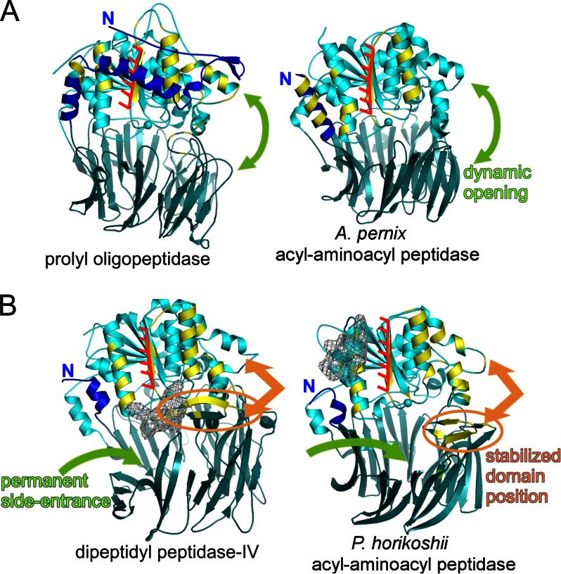 FIGURE 3.