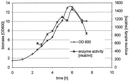 FIG. 1.