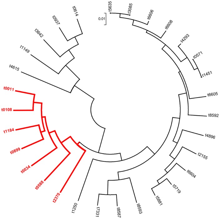 Figure 5