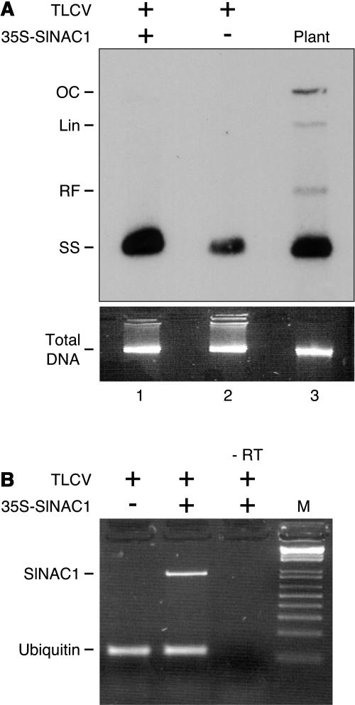 Figure 9.