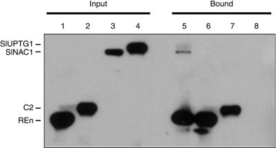 Figure 5.