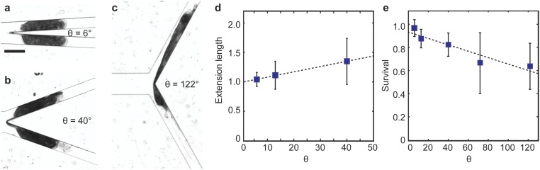 Fig. S1.