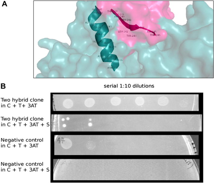 Fig. 3