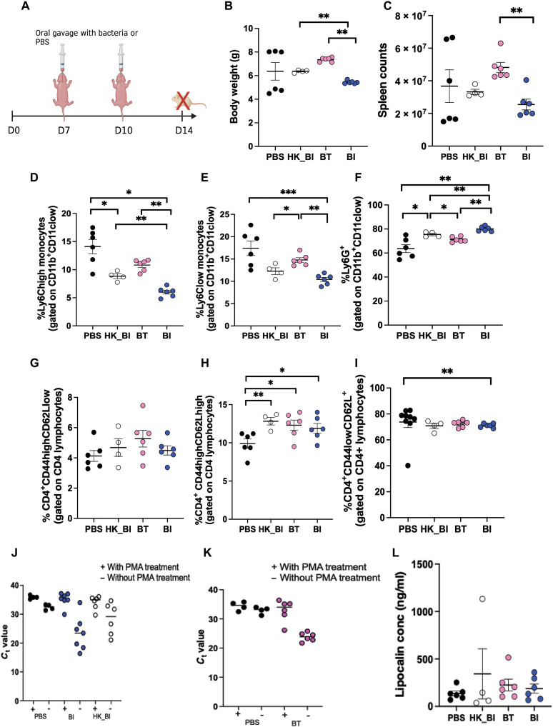 Fig. 4.