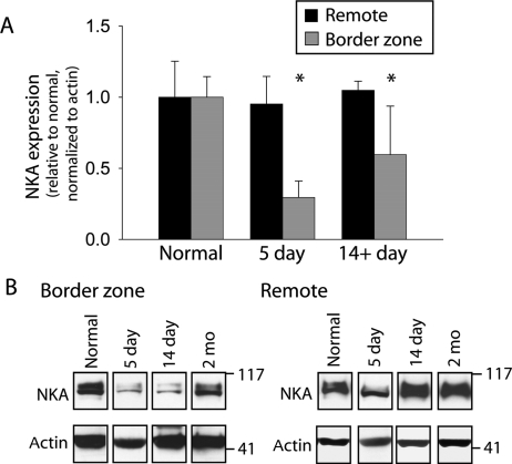 Figure 5