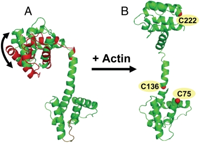 Fig. 5.