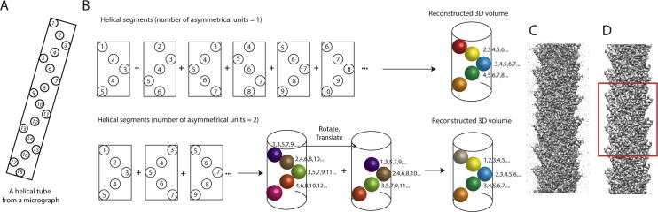 Fig. 2