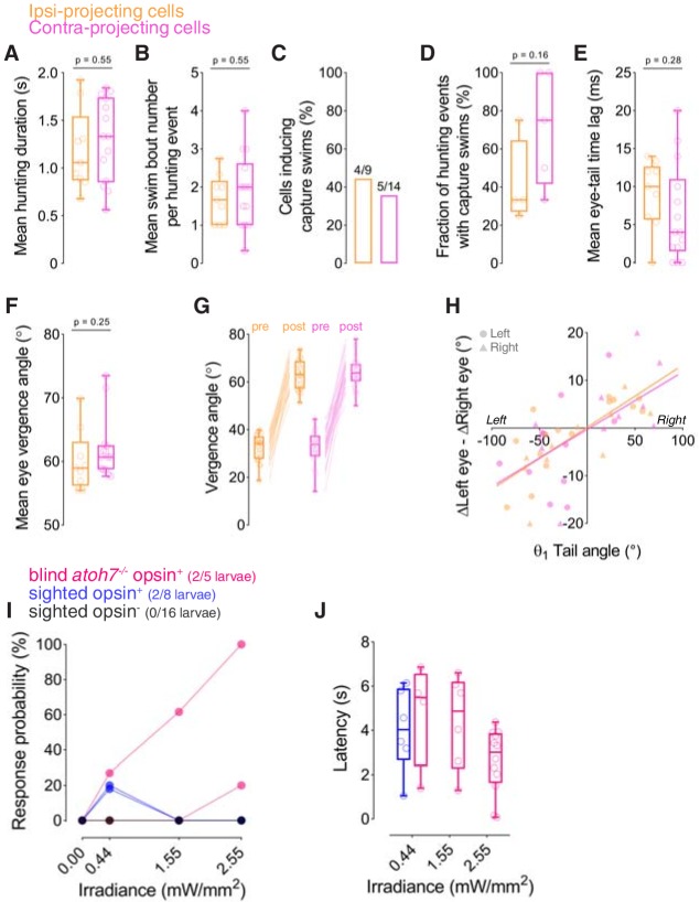 Figure 5—figure supplement 1.