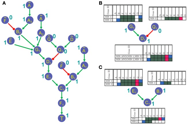 Figure 2