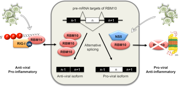 Figure 7.