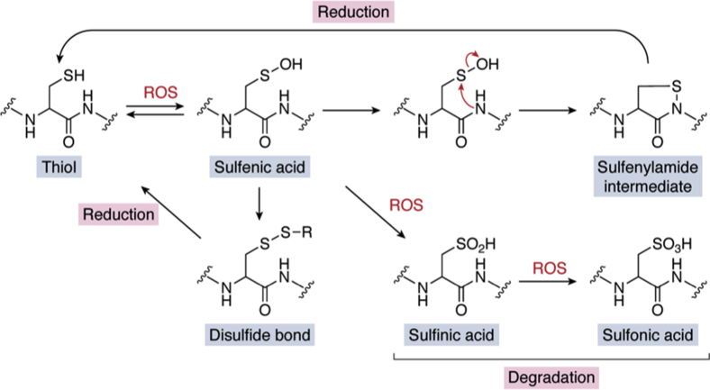 Figure 5