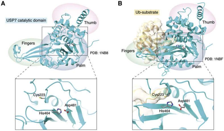 Figure 3