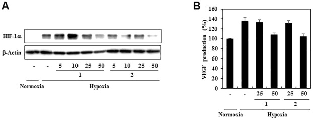 Fig 10