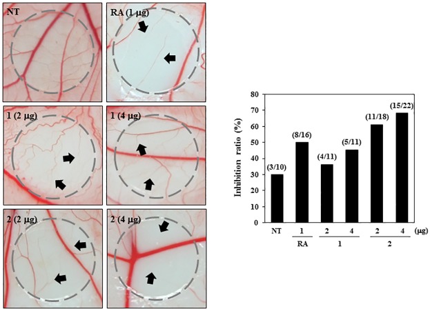 Fig 7