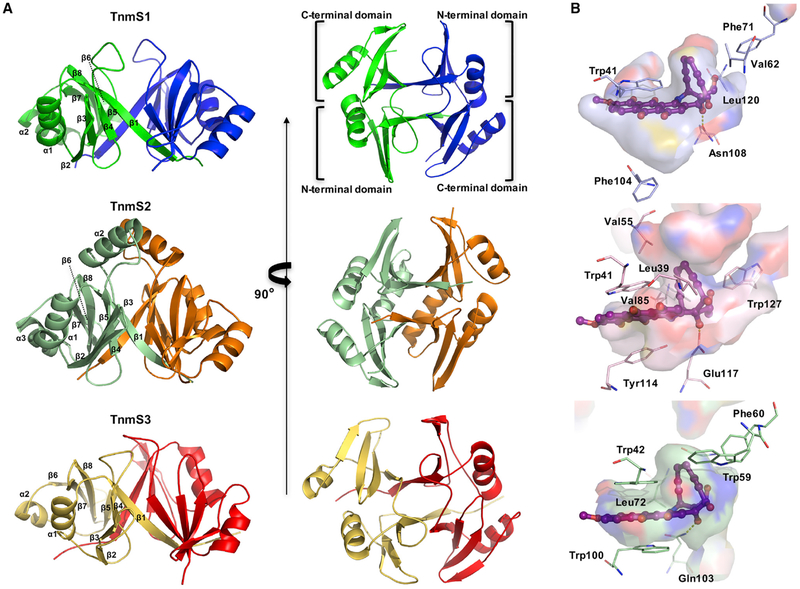 Figure 3.