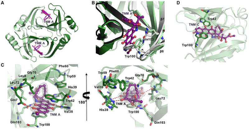 Figure 4.