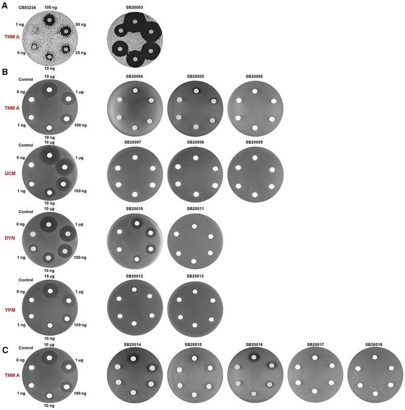 Figure 2.