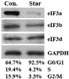 Fig. 1 –