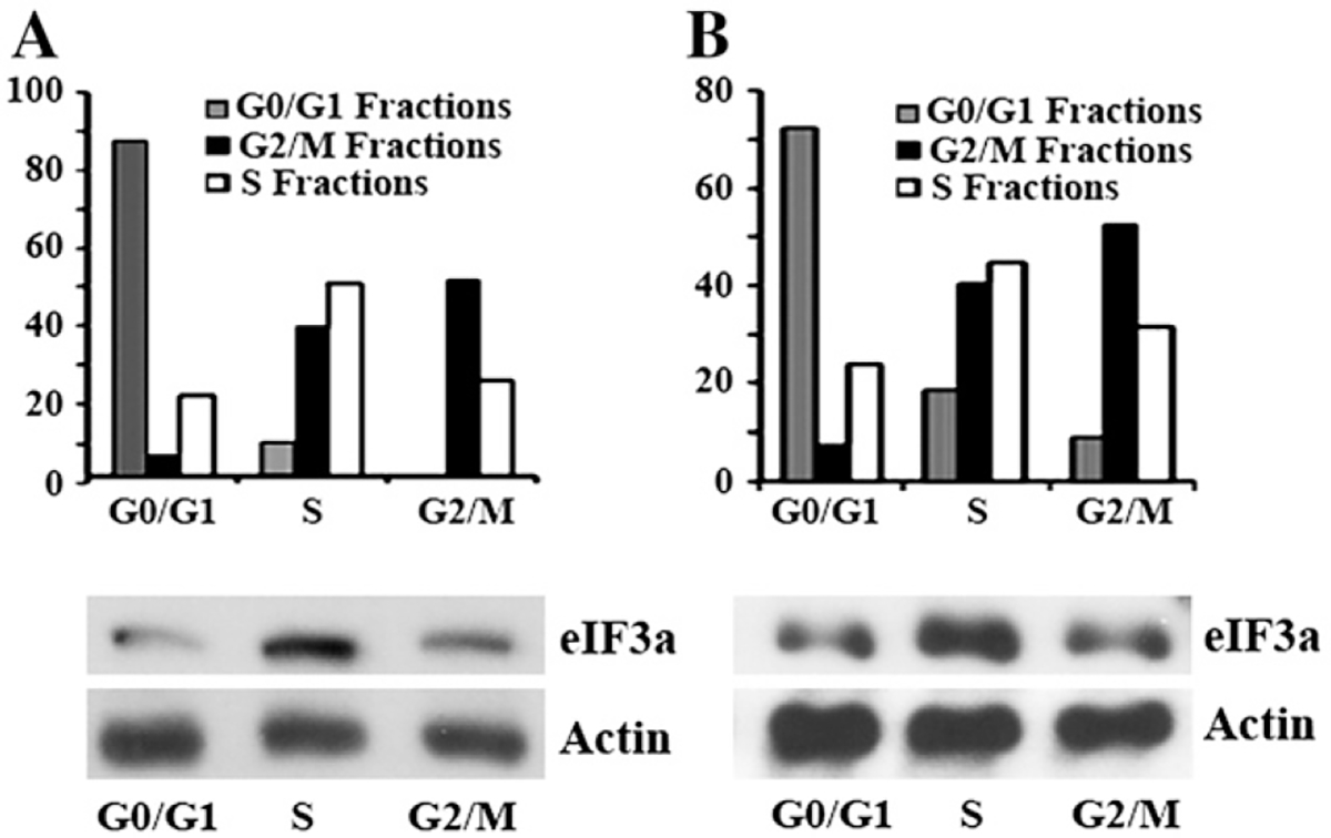 Fig. 3 –