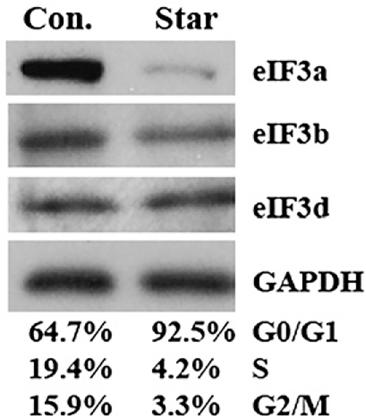 Fig. 1 –