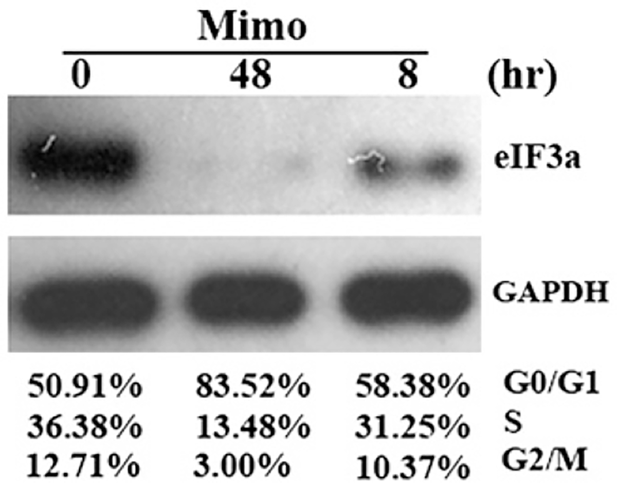 Fig. 4 –