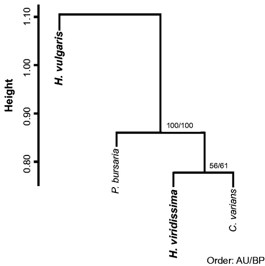 Fig. 4.—