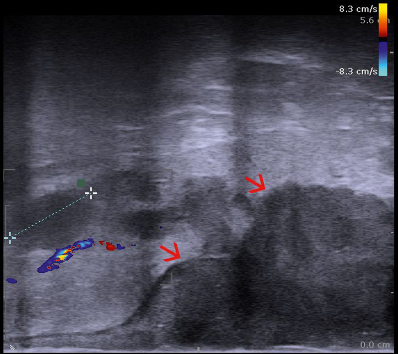 Fig. 10