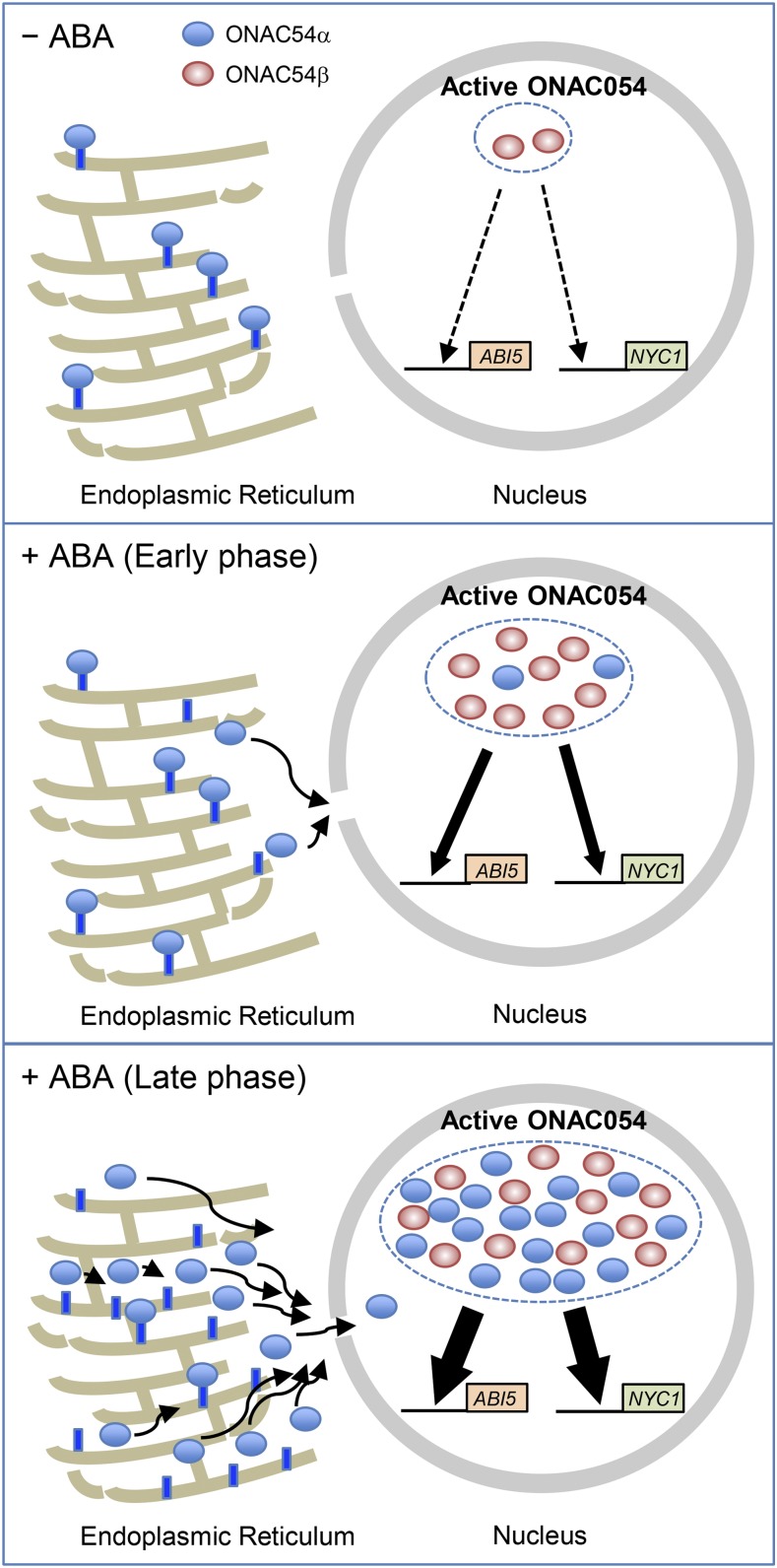 Figure 10.