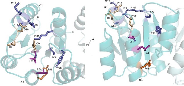 Fig. 8