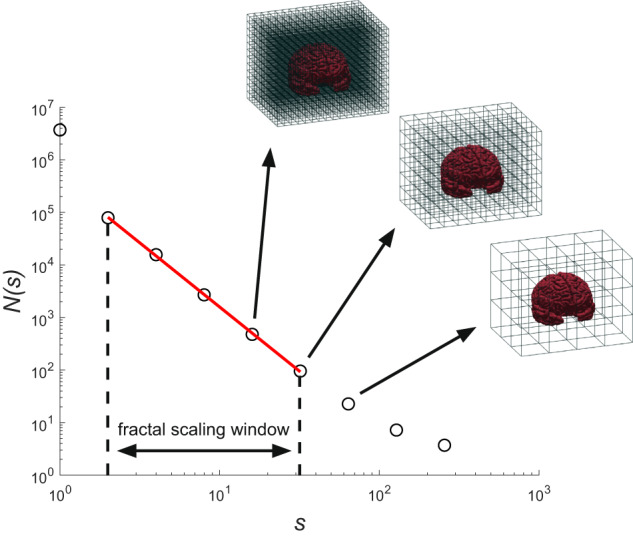 Fig. 2