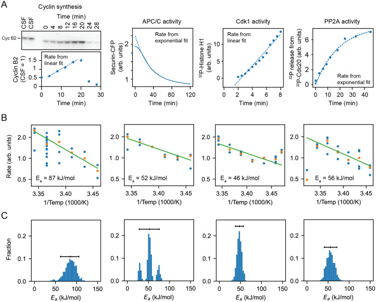 Fig. 6: