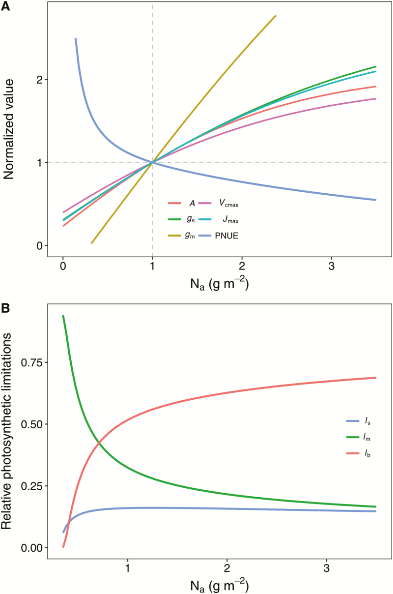 Fig. 9.