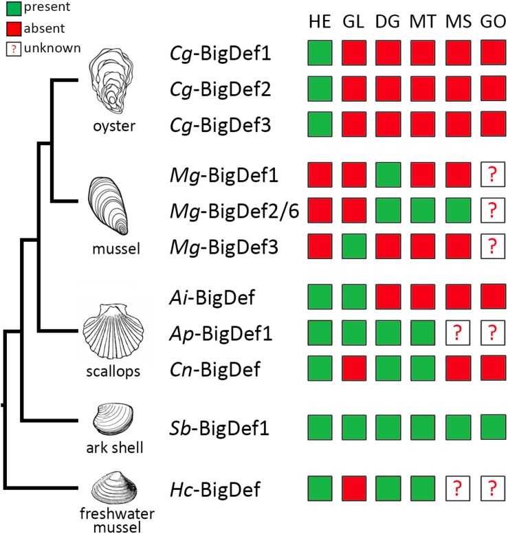 FIGURE 6