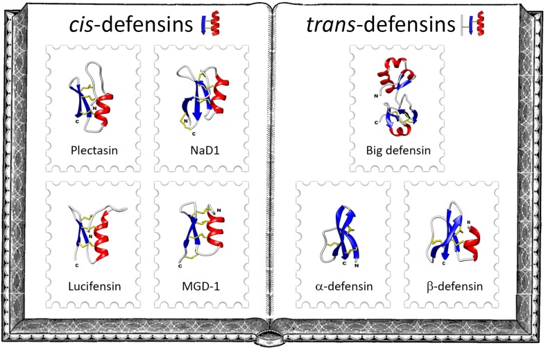 FIGURE 1