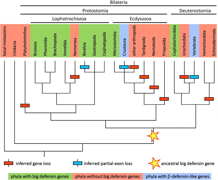 FIGURE 3