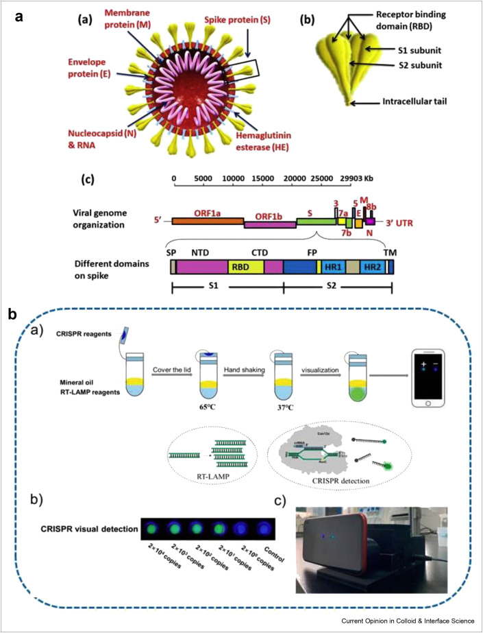 Figure 1