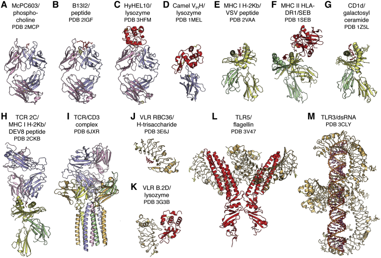 Figure 2