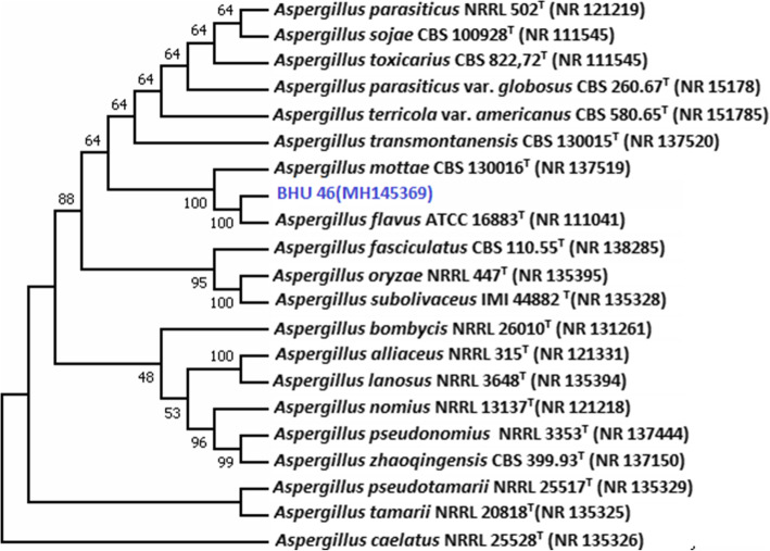 Fig. 6