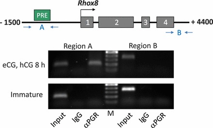 FIG. 7