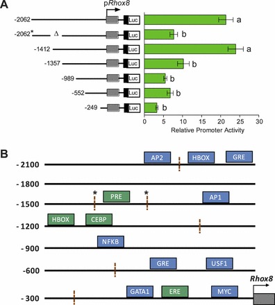 FIG. 3