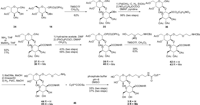 Scheme 3