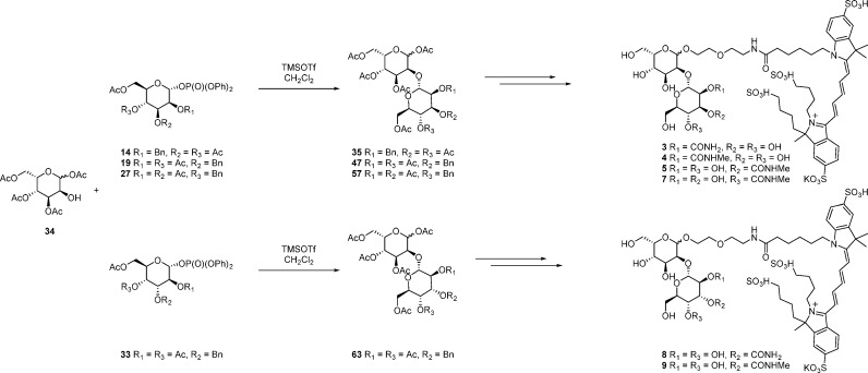 Scheme 1