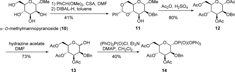 Scheme 2