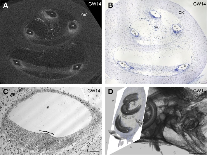 Fig. 9