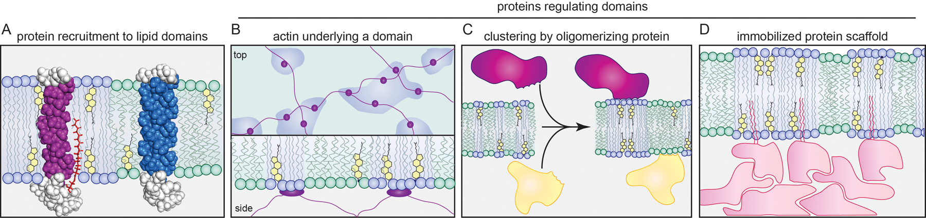 Figure 2 -